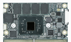 conga-sXAL4 Image